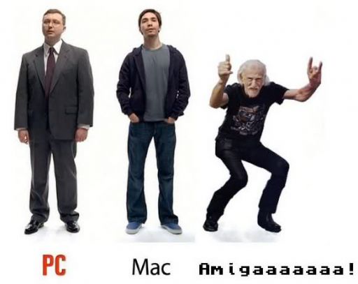 1360045906 40 FT55920 Pcmacamiga 